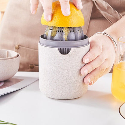 Manual Juicer 1