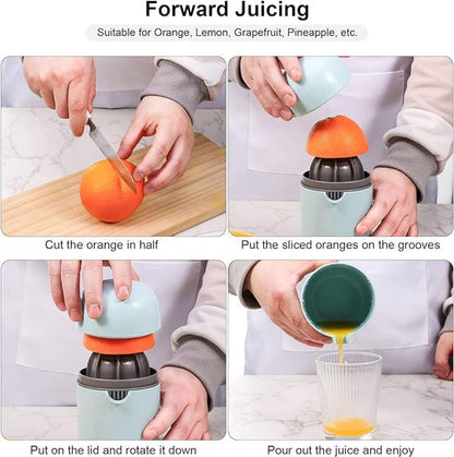 Manual Juicer 1