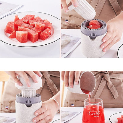 Manual Juicer 1