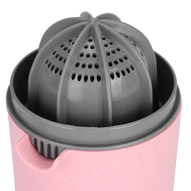 Manual Juicer 1